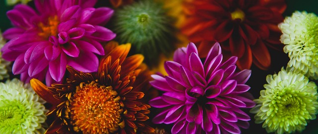 法国近4次世界杯小组赛对阵非洲球队3负1胜，02年不敌塞内加尔