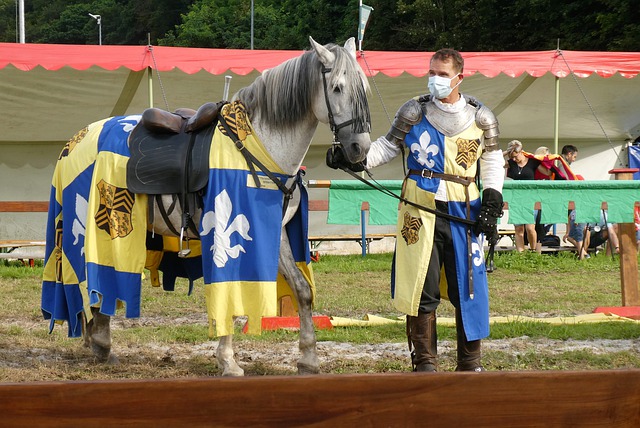 质的集中体 质的集中体