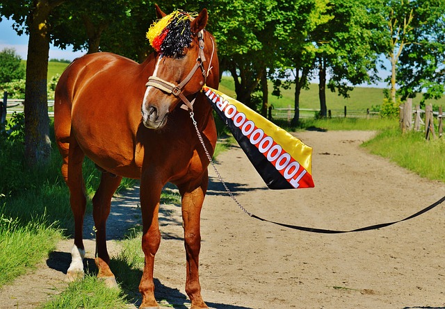 决策的一个 决策的一个