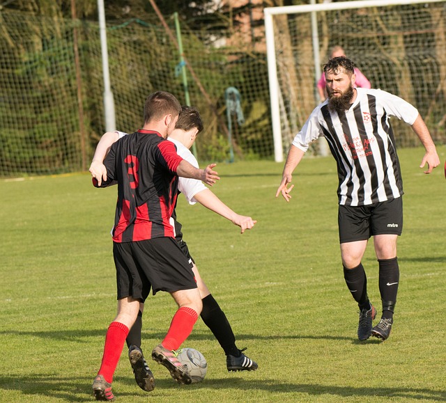 的精神深深 的精神深深