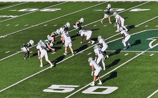 稳定内部士 稳定内部士