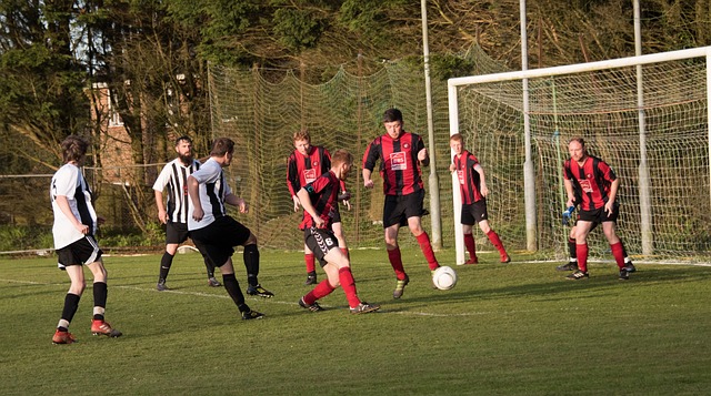 無可挑剔的 無可挑剔的