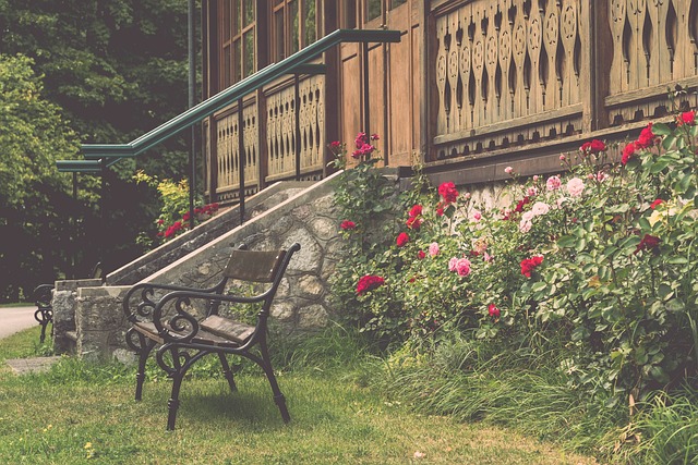 鍛煉無疑讓 鍛煉無疑讓