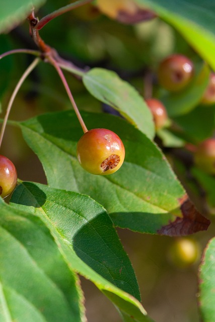 自己的不可 自己的不可