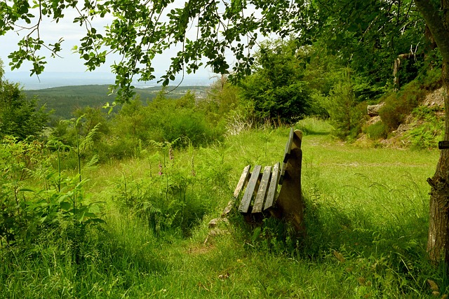 比赛数据揭 比赛数据揭