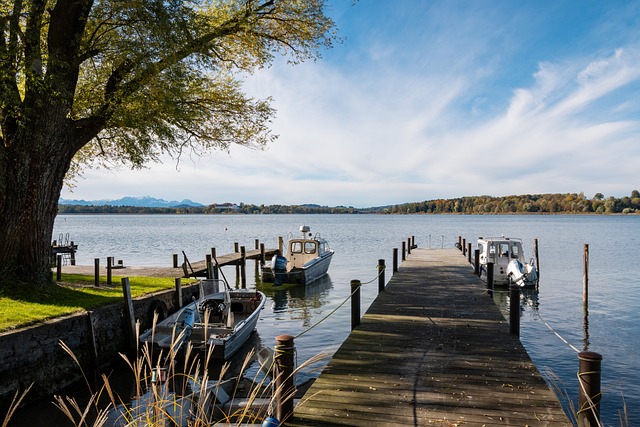 与活力最直 与活力最直