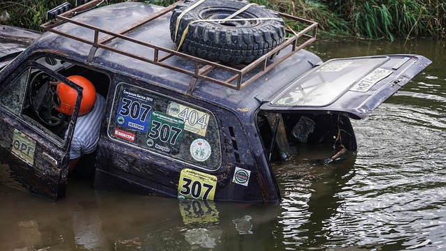却坚持完成 却坚持完成